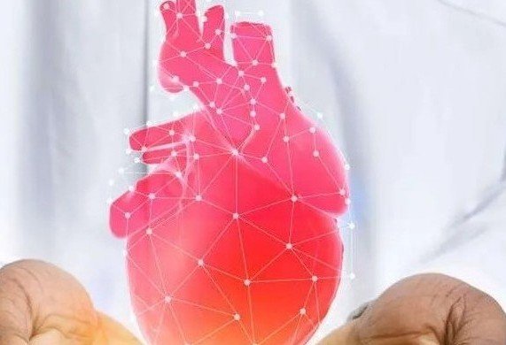heart health fi